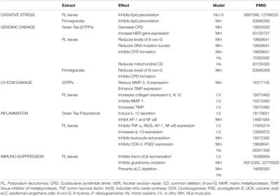 Expert Recommendations on the Evaluation of Sunscreen Efficacy and the Beneficial Role of Non-filtering Ingredients